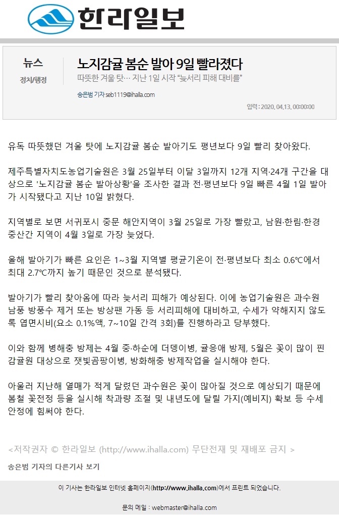 노지감귤 봄순 발아 9일 빨라졌다
