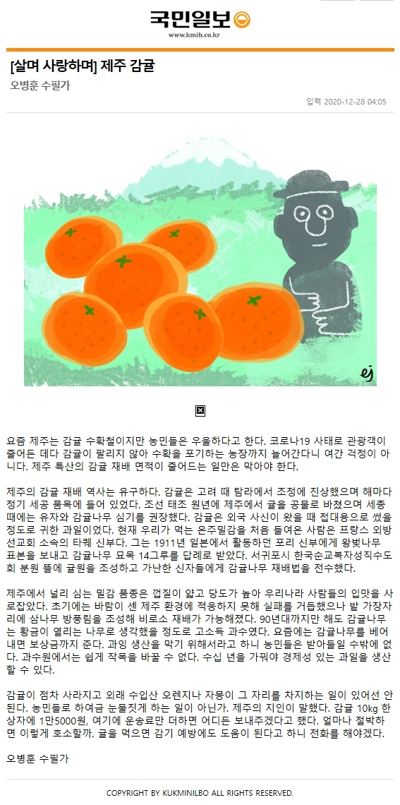 살며,사랑하며,, 제주감귤