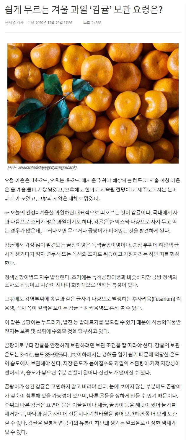 쉽게 무르는 겨울 과일 '감귤' 보관 요령은?