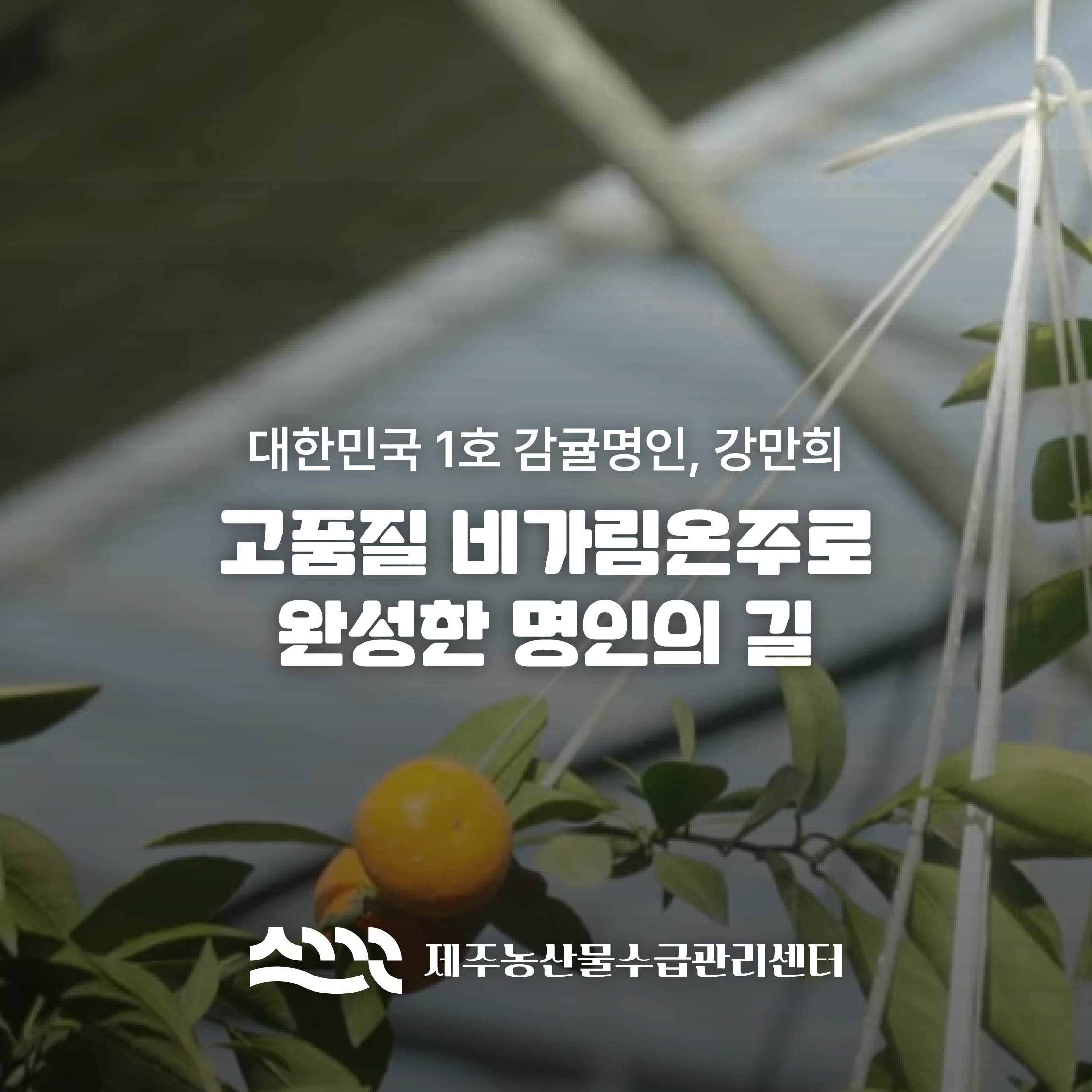 고품질 비가림온주로 완성한 명인의 길