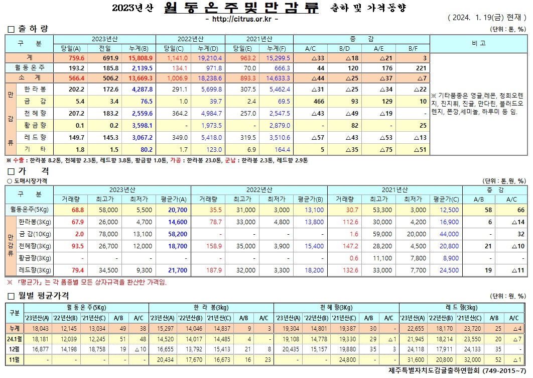 [월동&만감]2023년산 출하 및 가격동향(1/19)