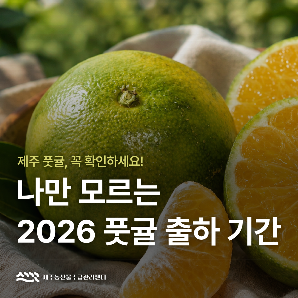 2026 풋귤 출하기간