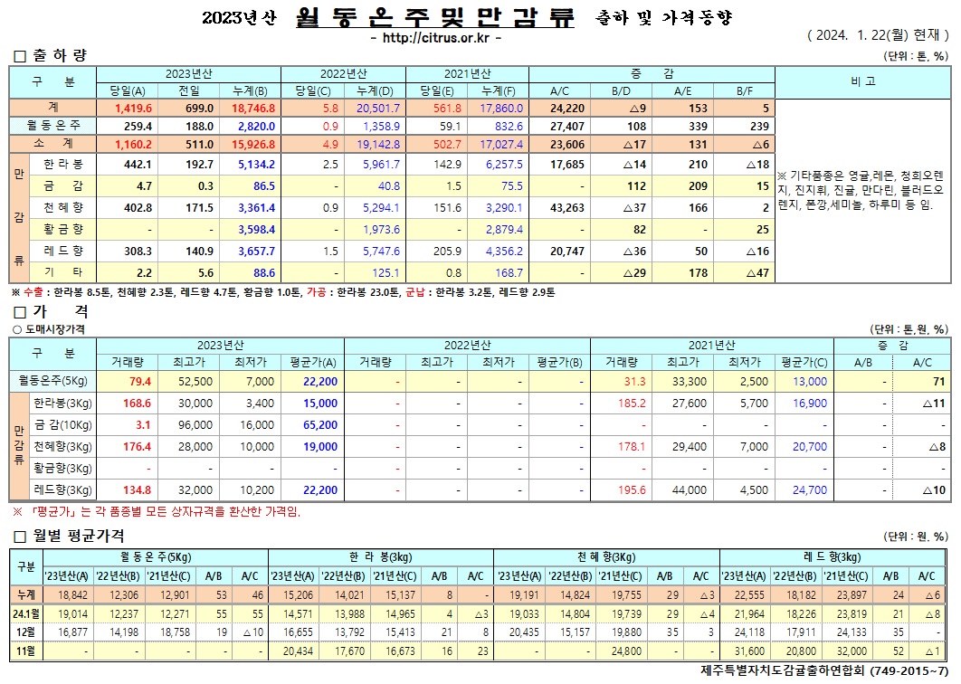 [월동&만감]2023년산 출하 및 가격동향(1/22)