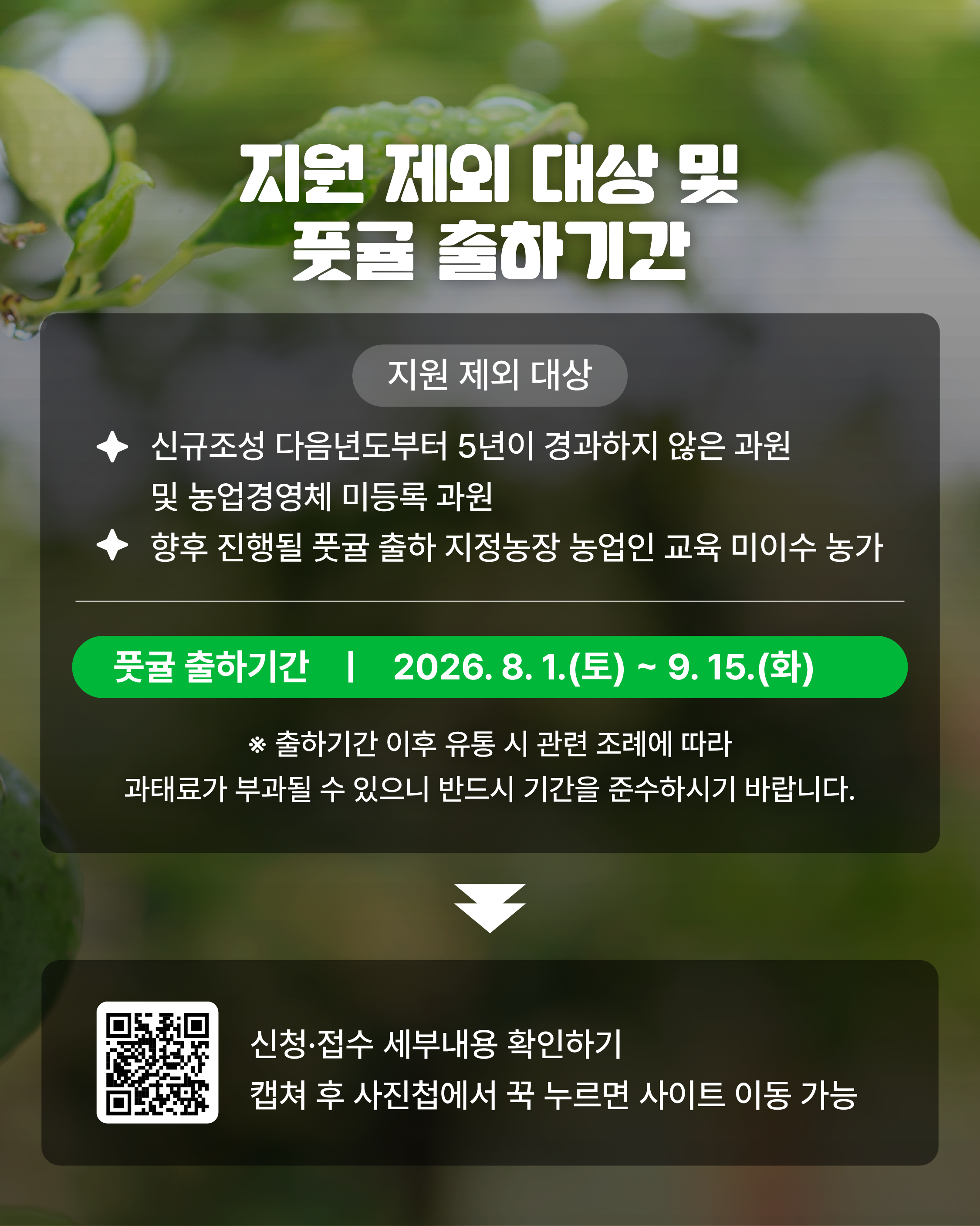 풋귤 출하농장 지정 신청 접수