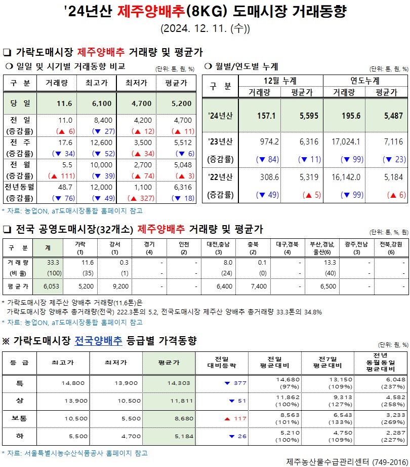 '24년산 제주양배추(8kg) 도매시장 거래동향(12/11)