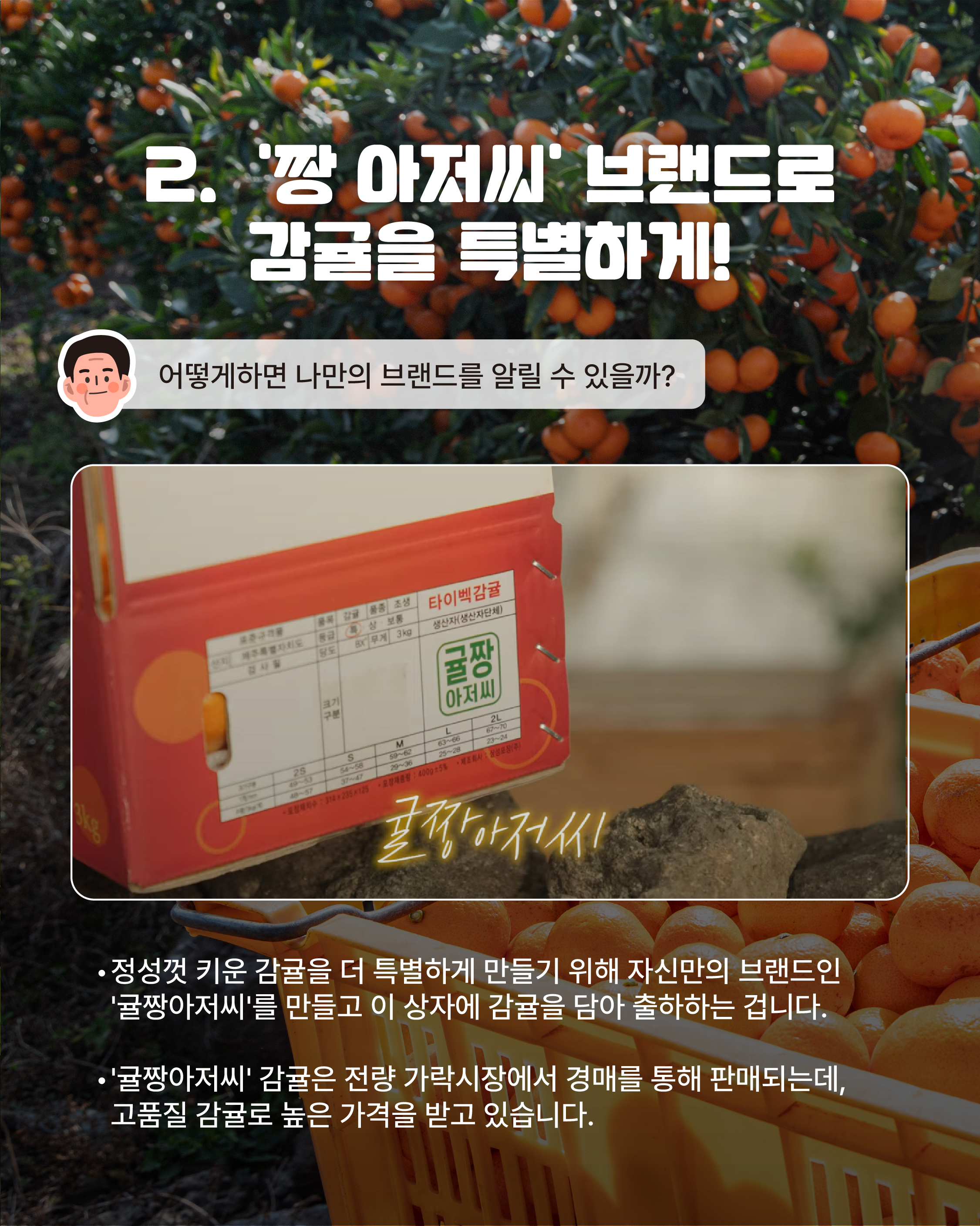 [16년차, 김진성 명인]경매시장 최고가 고품질 이끈 비밀의 기술은?