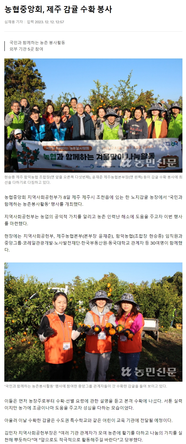 농협중앙회, 제주 감귤 수확 봉사