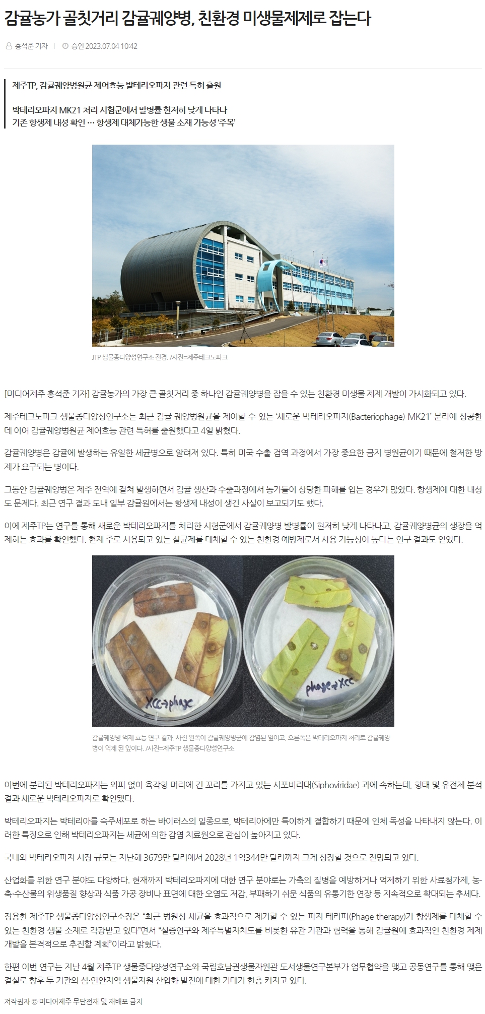 감귤농가 골칫거리 감귤궤양병, 친환경 미생물제제로 잡는다
