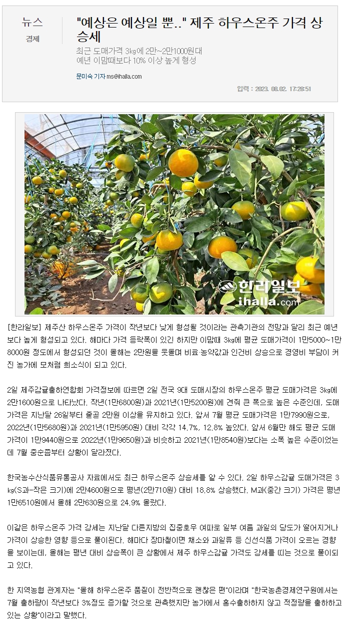 "예상은 예상일 뿐.." 제주 하우스온주 가격 상승세