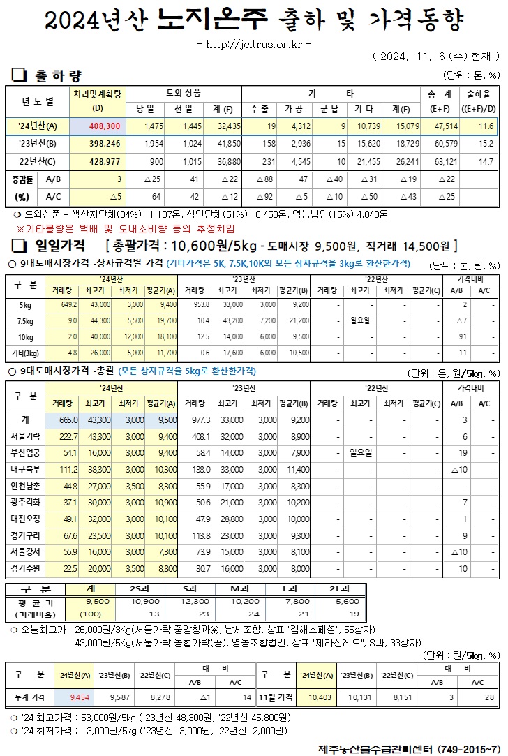 [노지온주]2024년산 출하 및 가격동향(11/6)