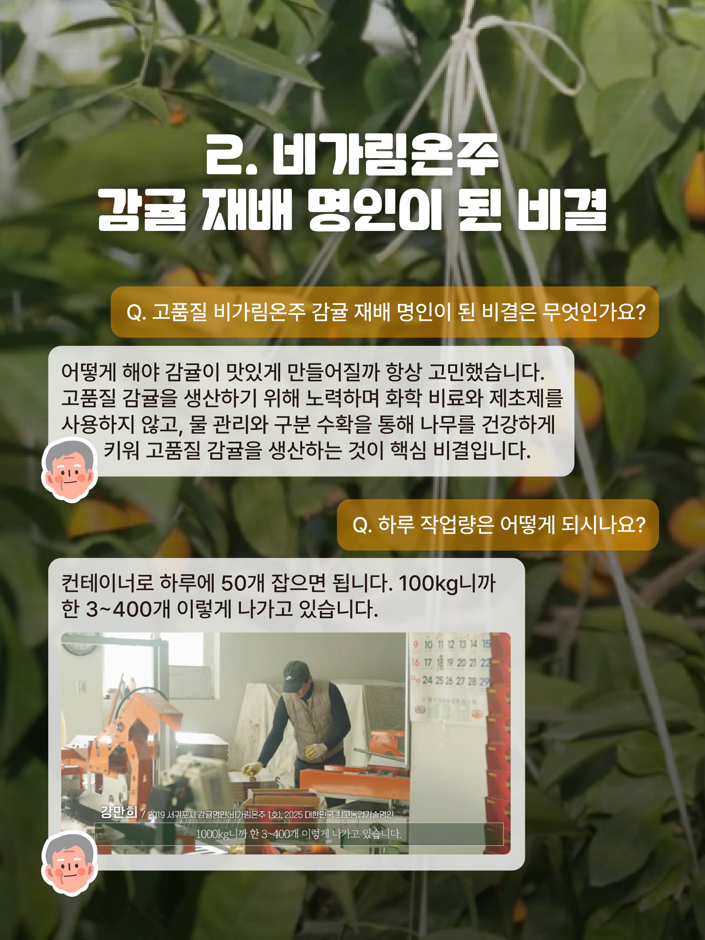 고품질 비가림온주로 완성한 명인의 길