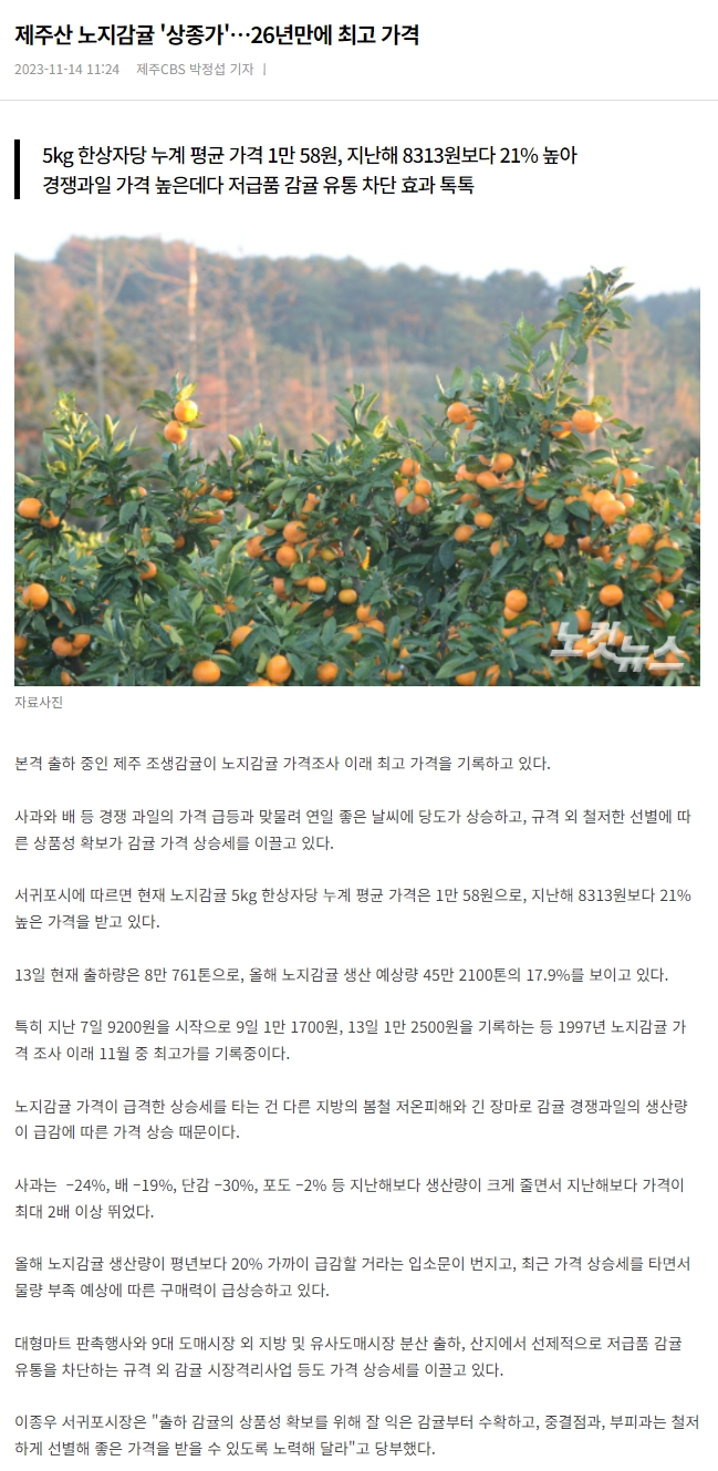제주산 노지감귤 '상종가'…26년만에 최고 가격