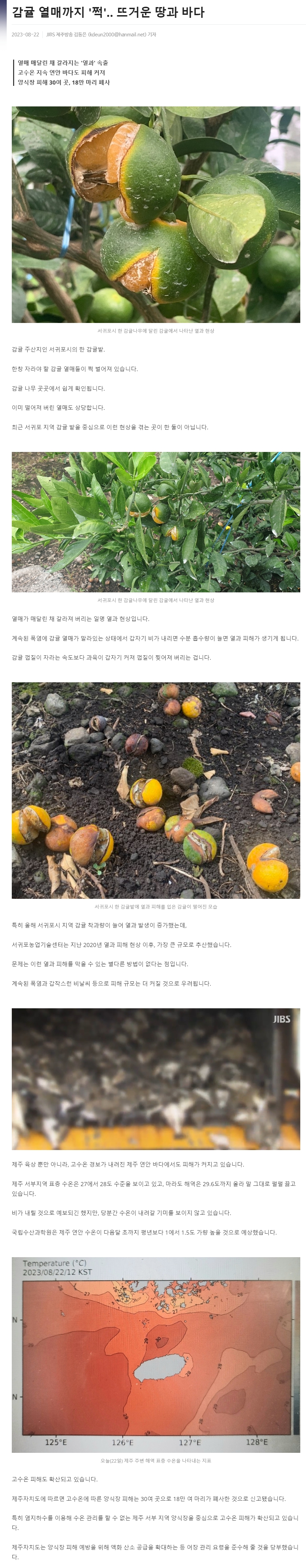 감귤 열매까지 '쩍'.. 뜨거운 땅과 바다