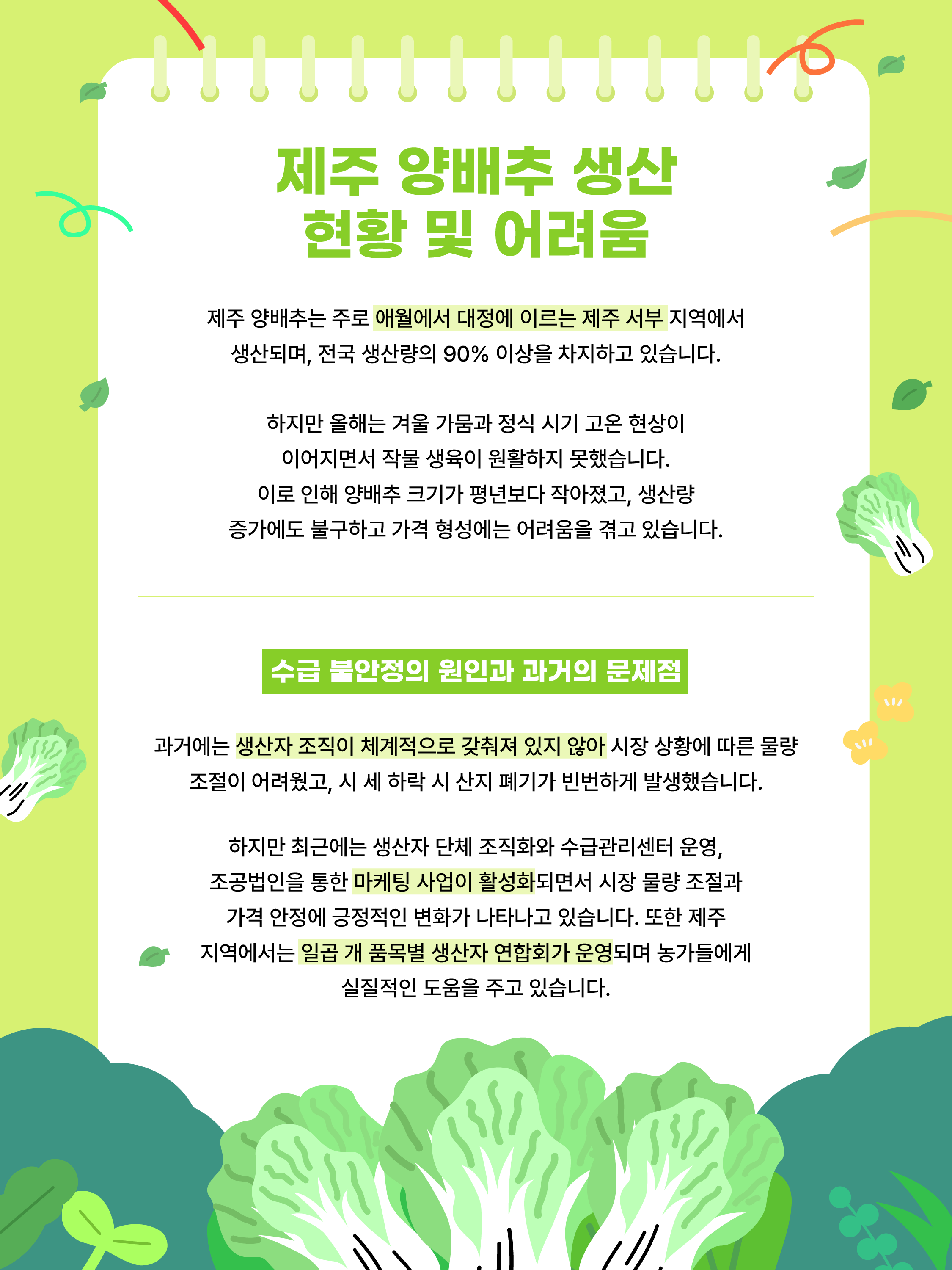 제주 양배추, 수급관리로 길을 찾다