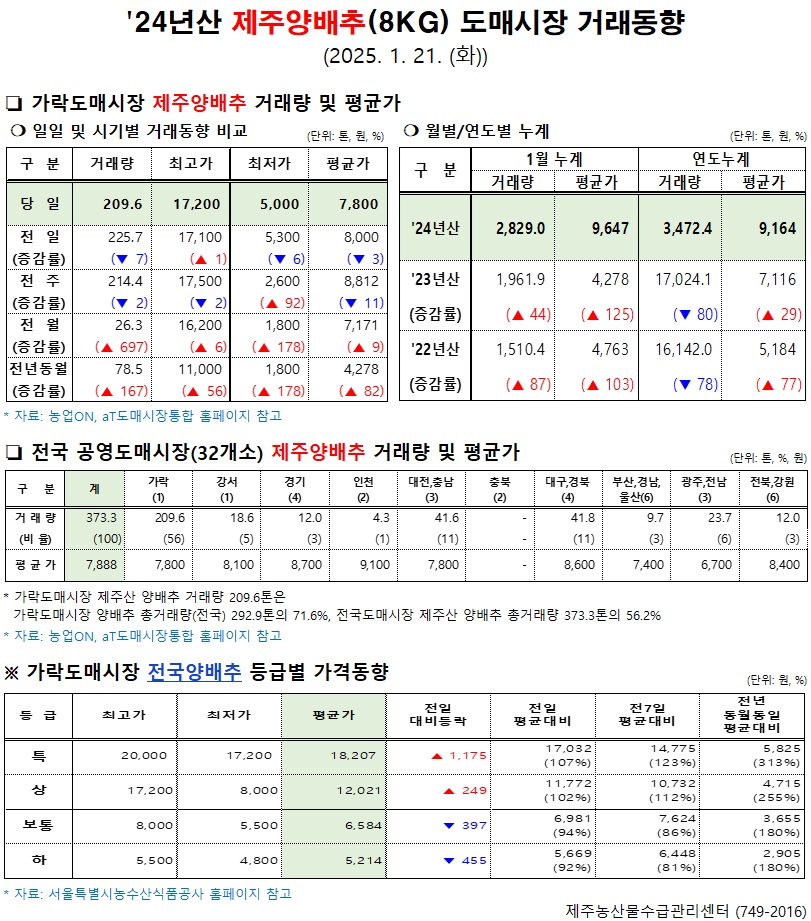 '24년산 제주양배추(8kg) 도매시장 거래동향(1/21)