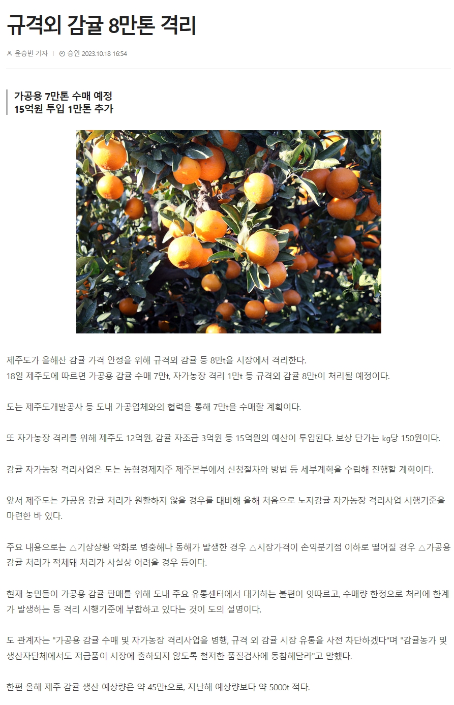 규격외 감귤 8만톤 격리