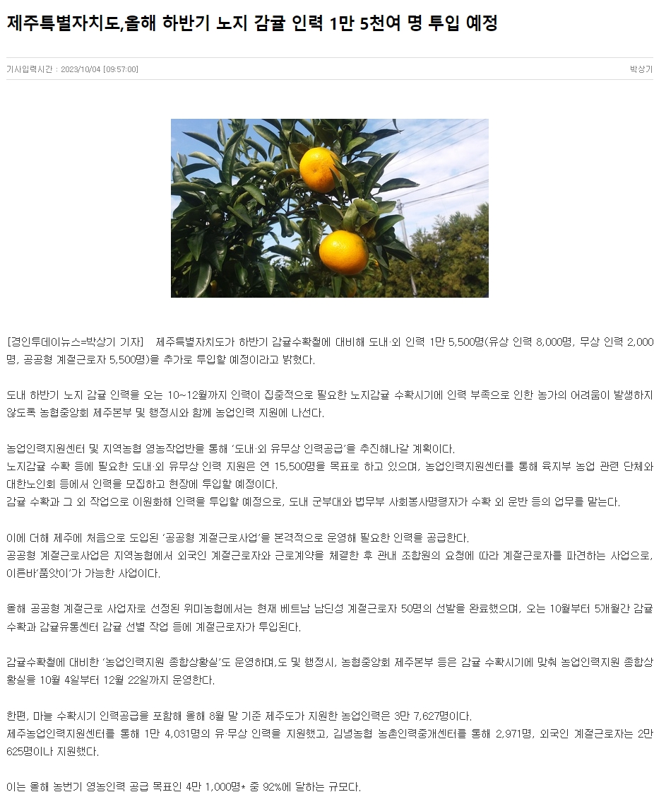 제주특별자치도,올해 하반기 노지 감귤 인력 1만 5천여 명 투입 예정