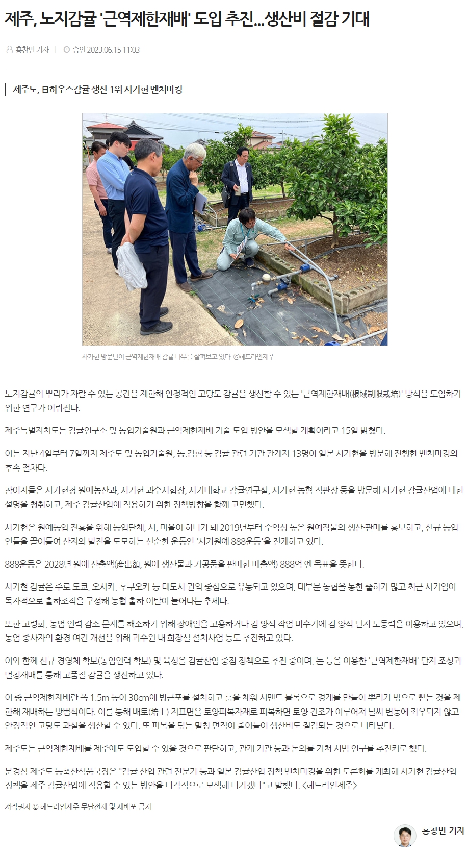 제주, 노지감귤 '근역제한재배' 도입 추진...생산비 절감 기대