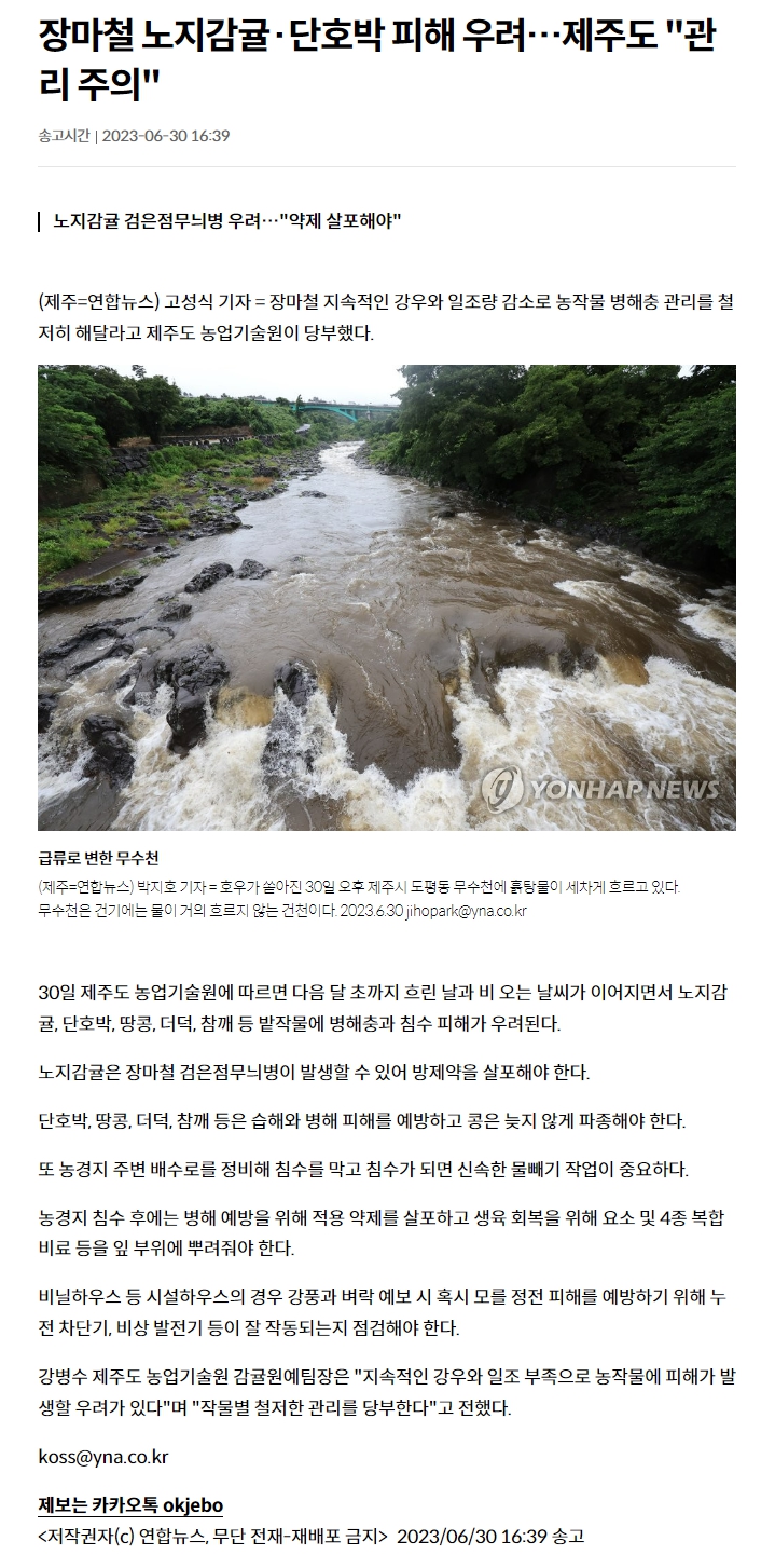 장마철 노지감귤·단호박 피해 우려…제주도 "관리 주의"