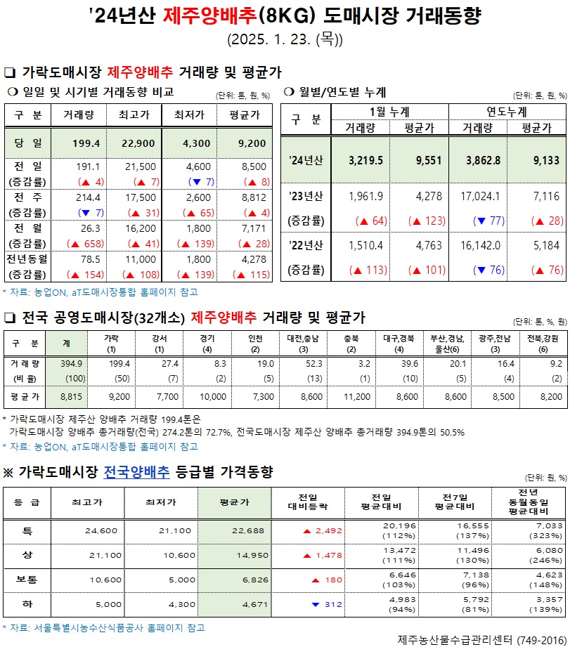 '24년산 제주양배추(8kg) 도매시장 거래동향(1/23)