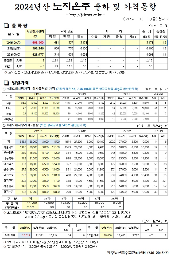 [노지온주]2024년산 출하 및 가격동향(10/11)