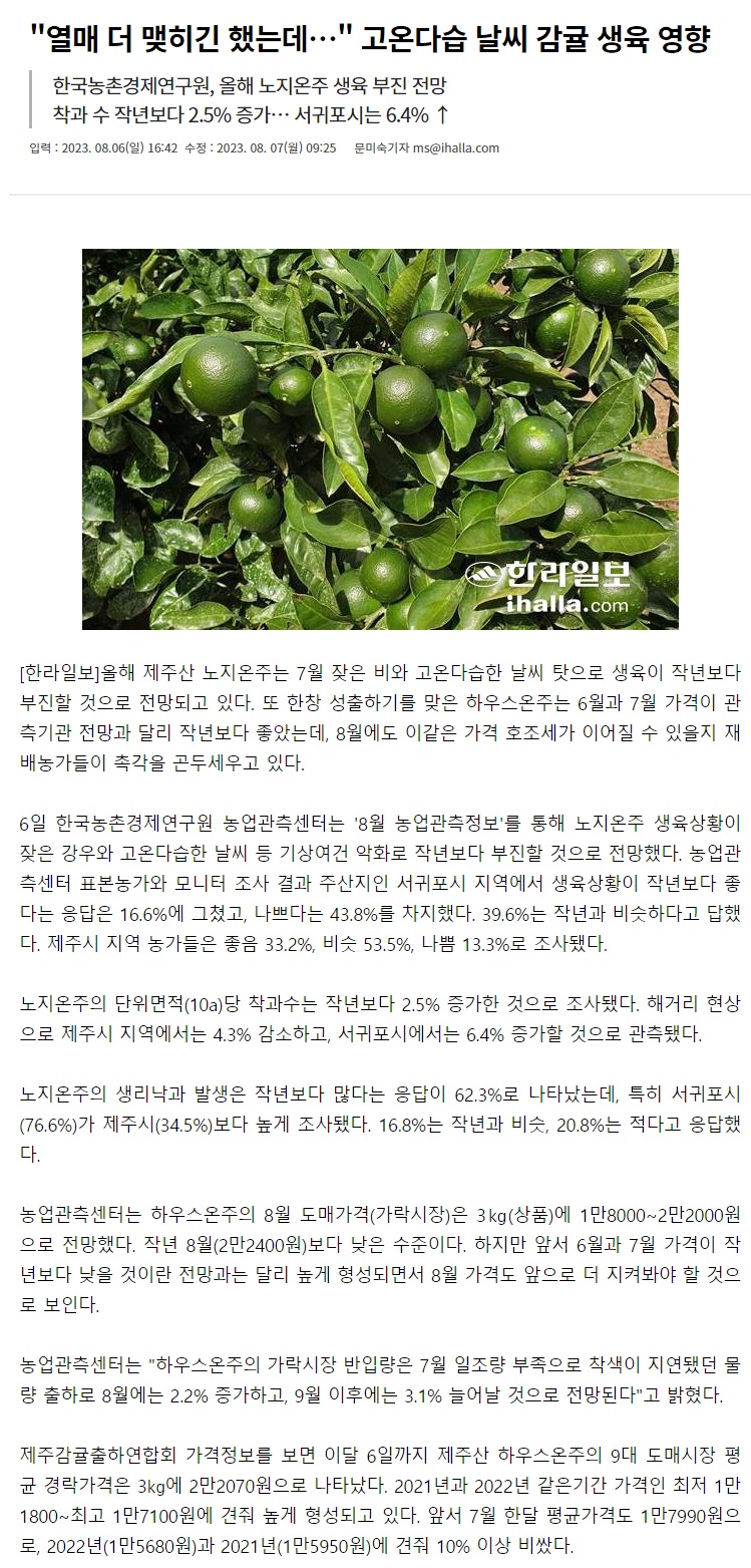 "열매 더 맺히긴 했는데..." 고온다습 날씨 생육 영향