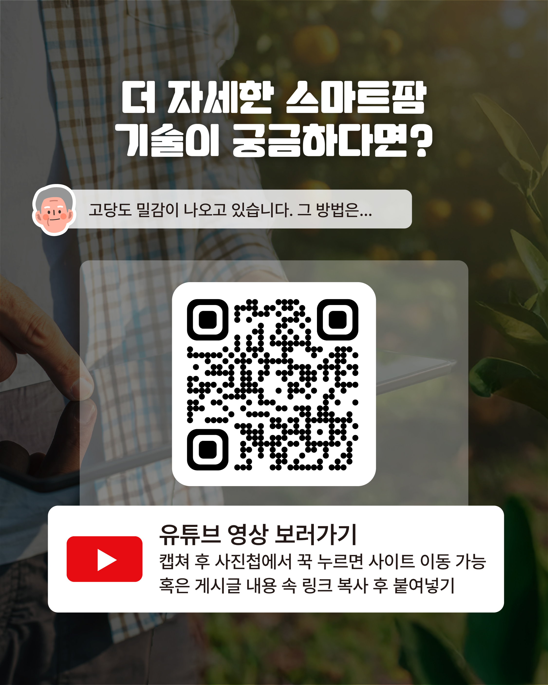 [대기업 34년차, 송두옥 명인]제주 귀농 후 스마트팜으로 감귤 산업의 미래를 열다!