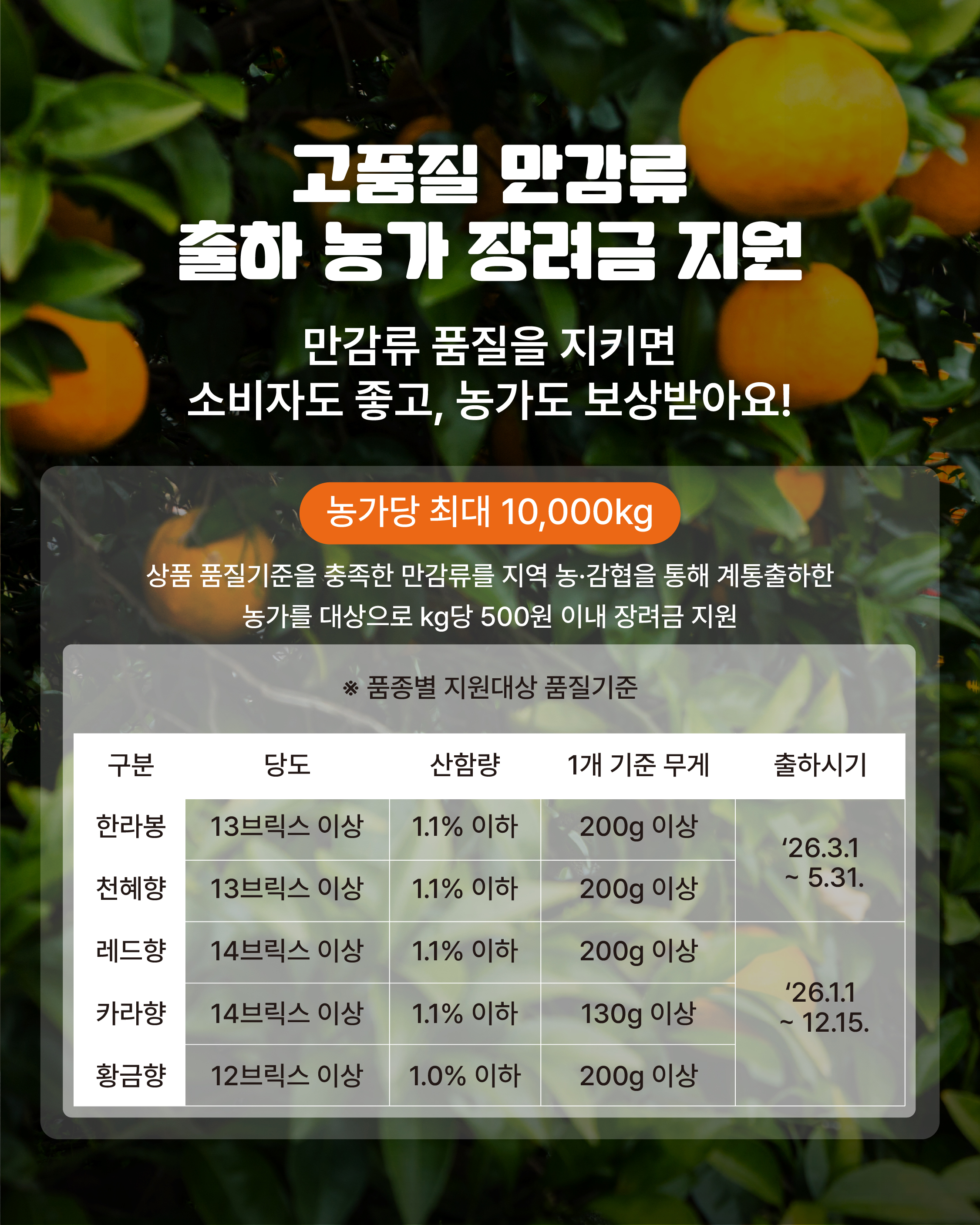 2026년도 고품질 만감류 출하 농가 장려금 지원 안내