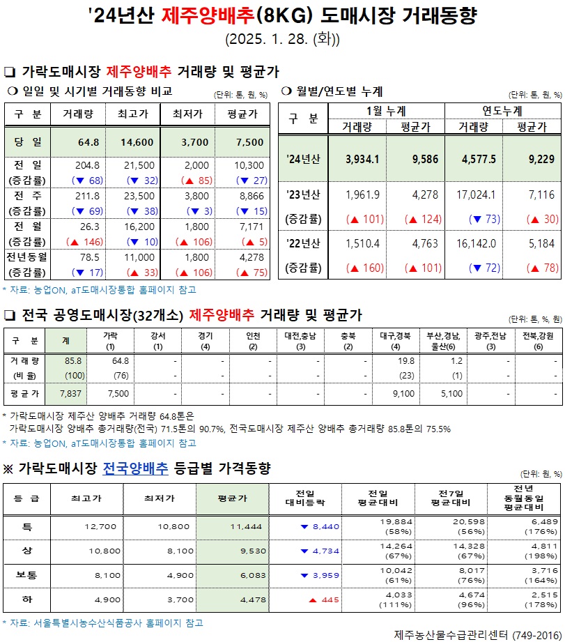 '24년산 제주양배추(8kg) 도매시장 거래동향(1/28)