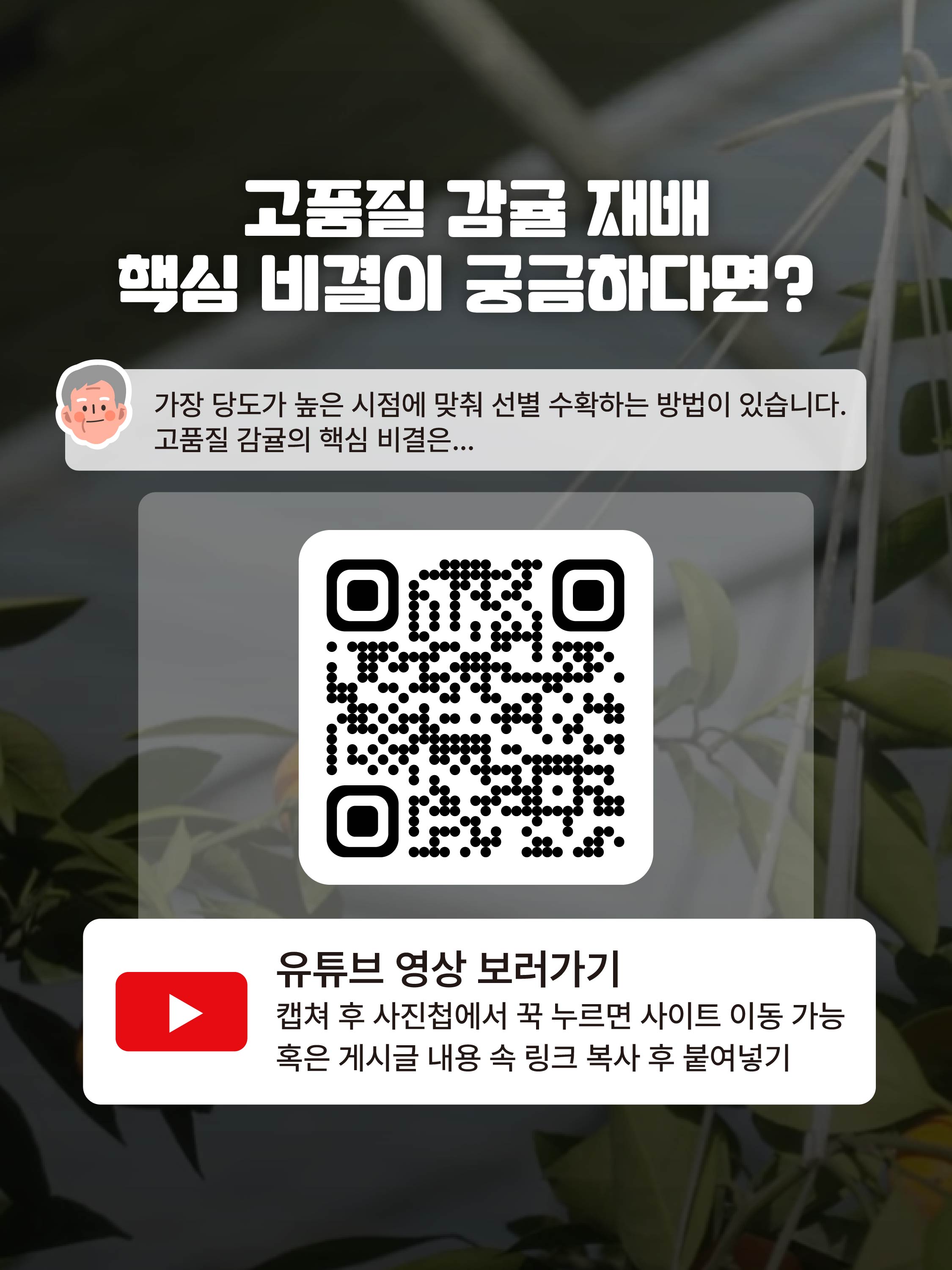 고품질 비가림온주로 완성한 명인의 길