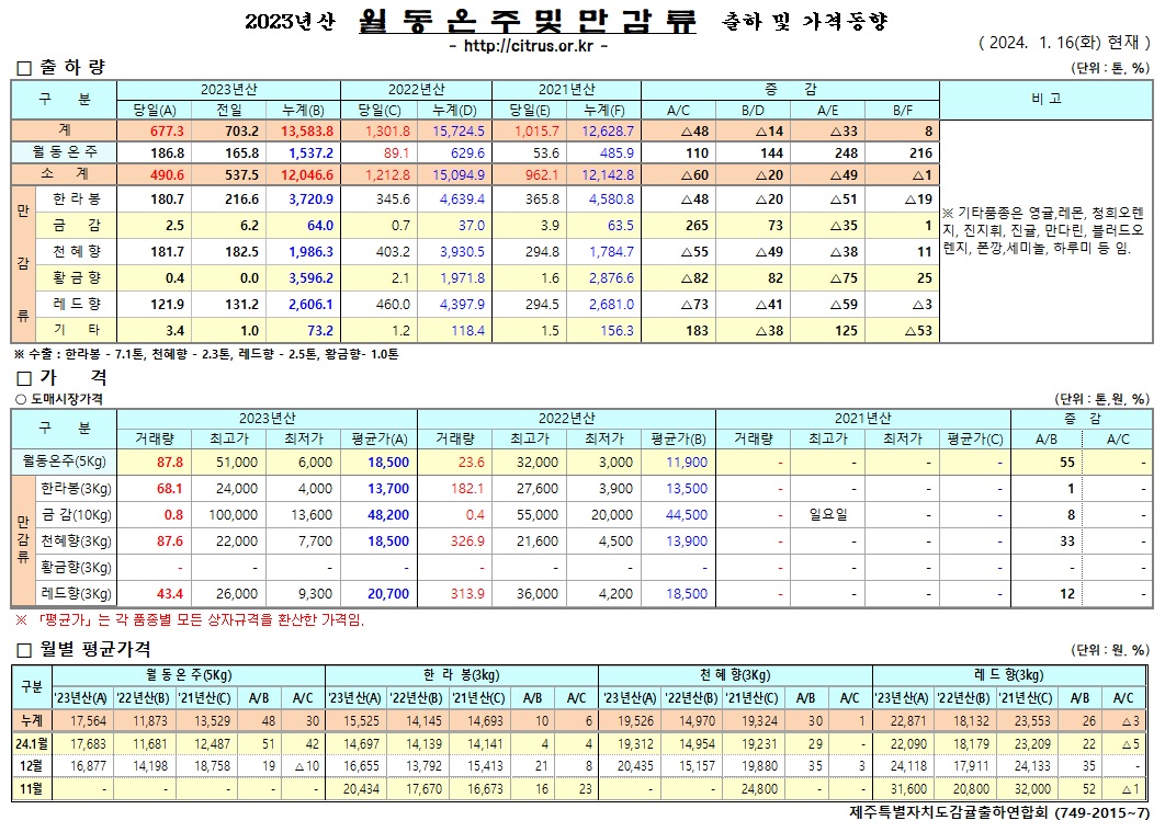 [월동&만감]2023년산 춣하 및 가격동향(1/16)