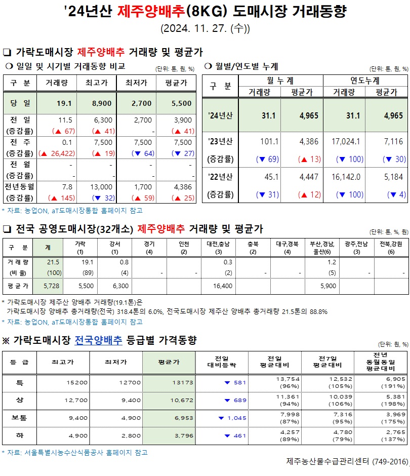 '24년산 제주양배추(8kg) 도매시장 거래동향(11/27)