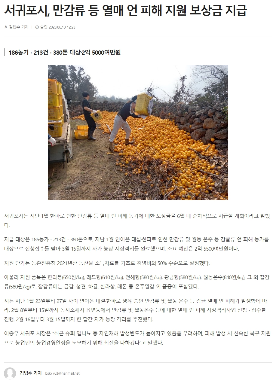 서귀포시, 만감류 등 열매 언 피해 지원 보상금 지급