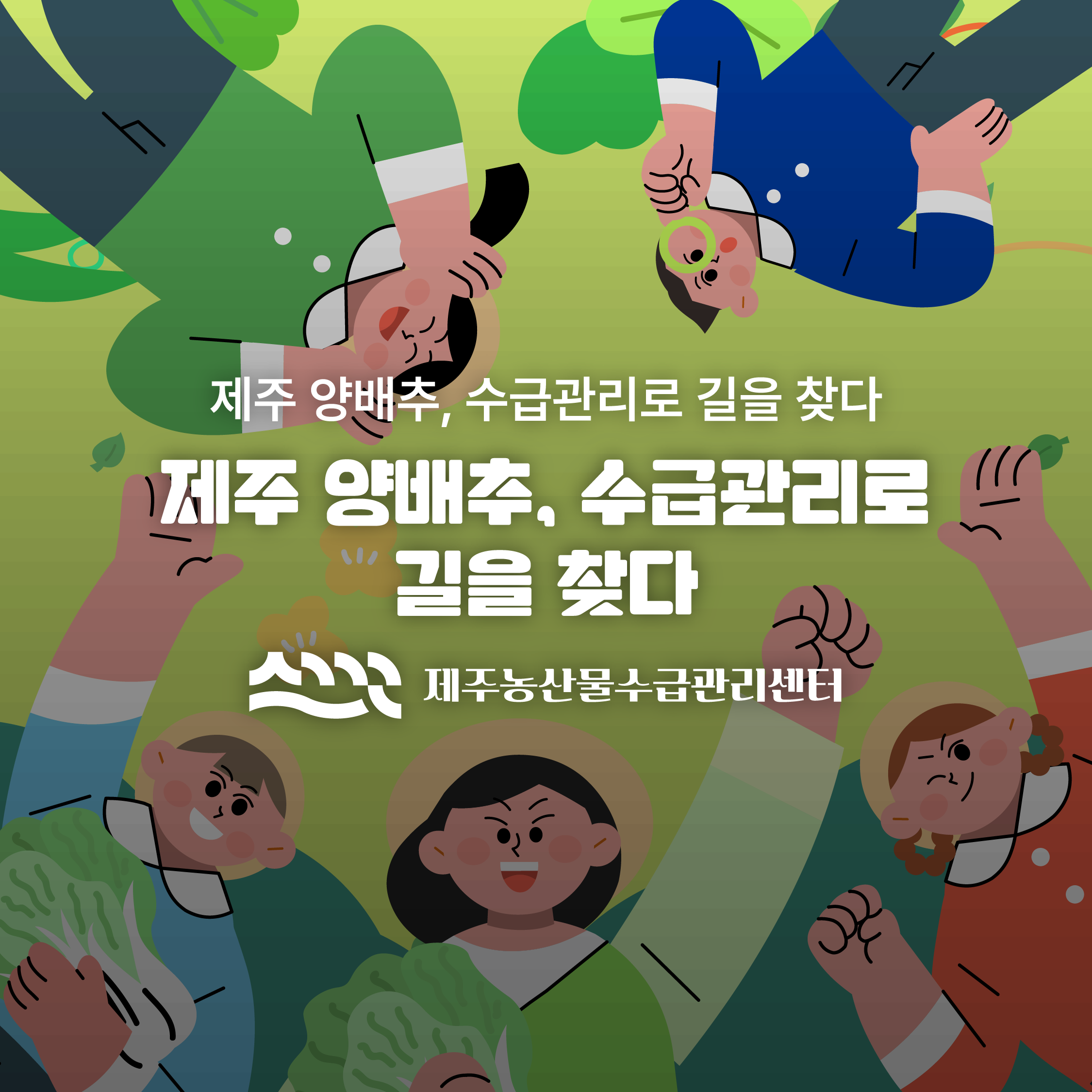 제주 양배추, 수급관리로 길을 찾다