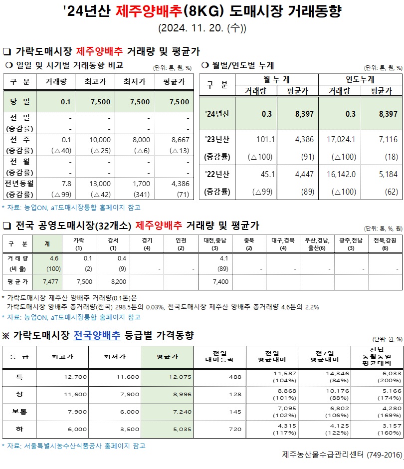 '24년산 제주양배추(8kg) 도매시장 거래동향(11/20)
