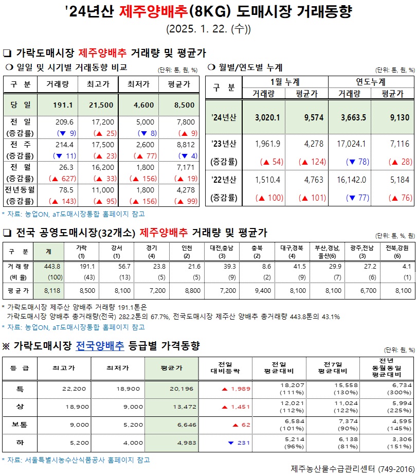 '24년산 제주양배추(8kg) 도매시장 거래동향(1/22)