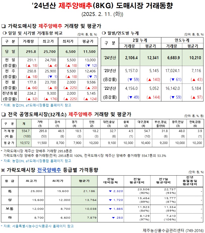 '24년산 제주양배추(8kg) 도매시장 거래동향(2/11)
