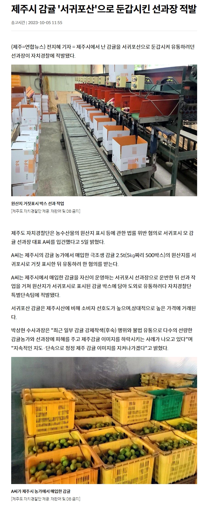 제주시 감귤 '서귀포산'으로 둔갑시킨 선과장 적발