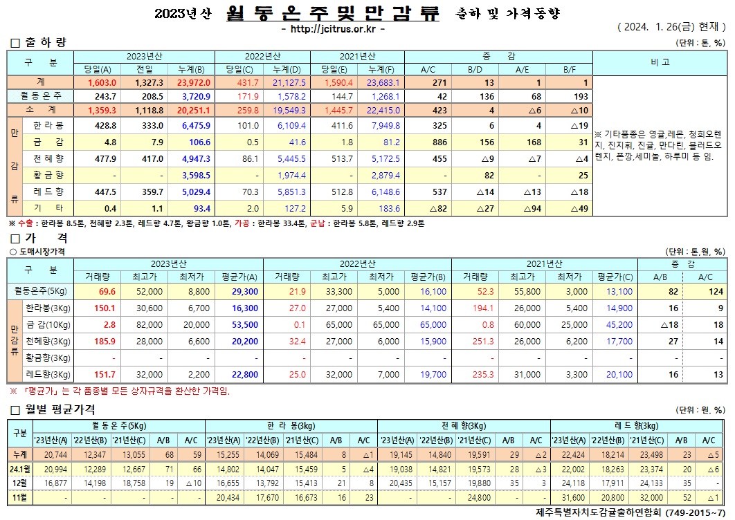 [월동&만감]2023년산 출하 및 가격동향(1/26)