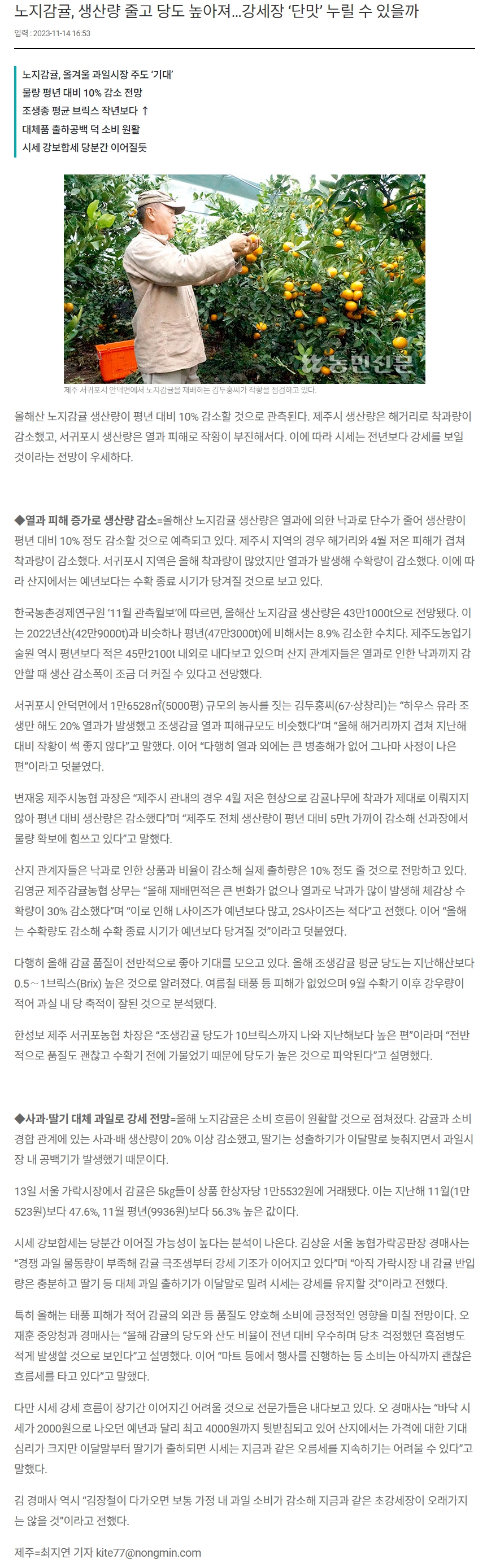 노지감귤, 생산량 줄고 당도 높아져…강세장 ‘단맛’ 누릴 수 있을까