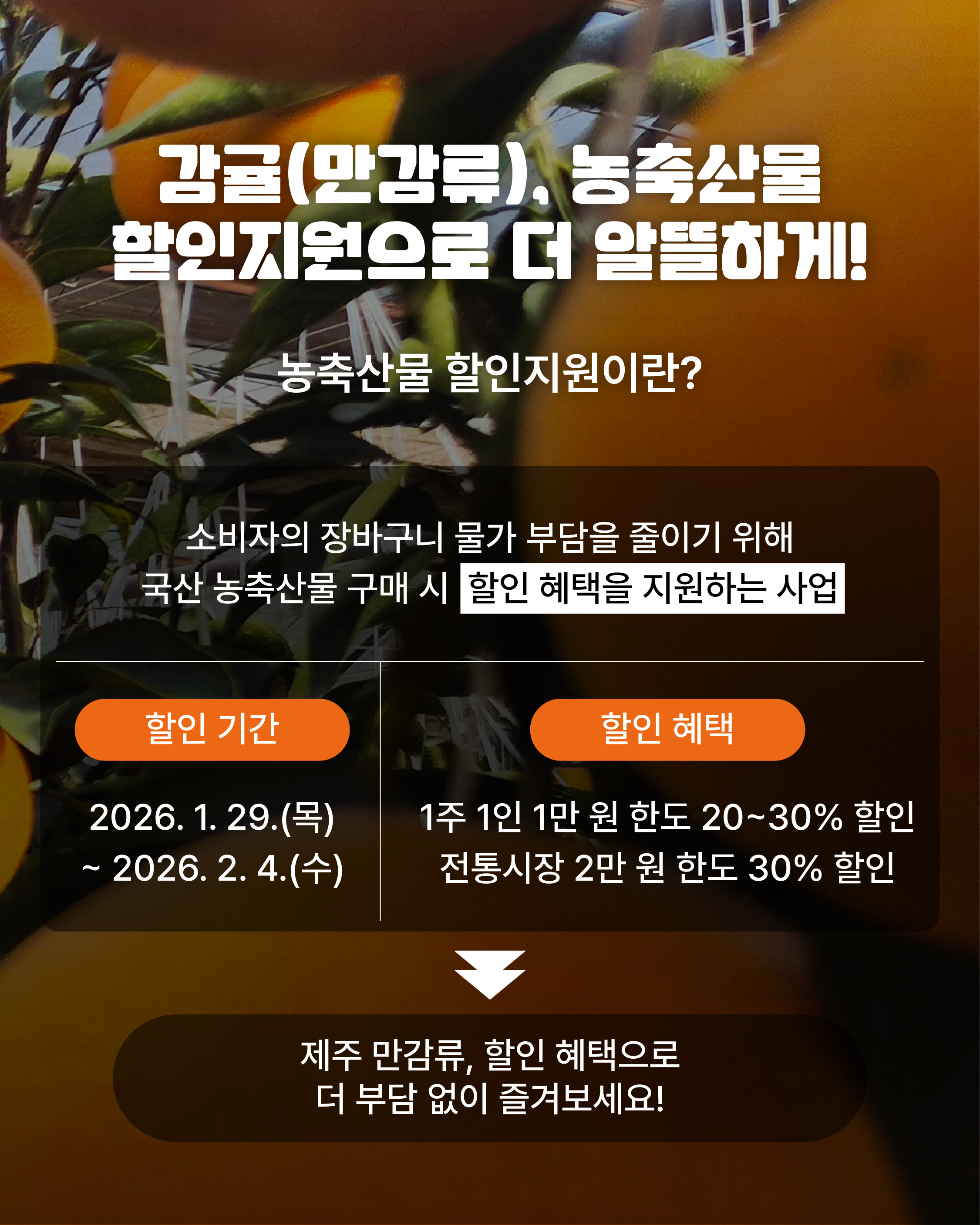 제주 만감류, 농축산물 할인지원으로 더 알뜰하게!