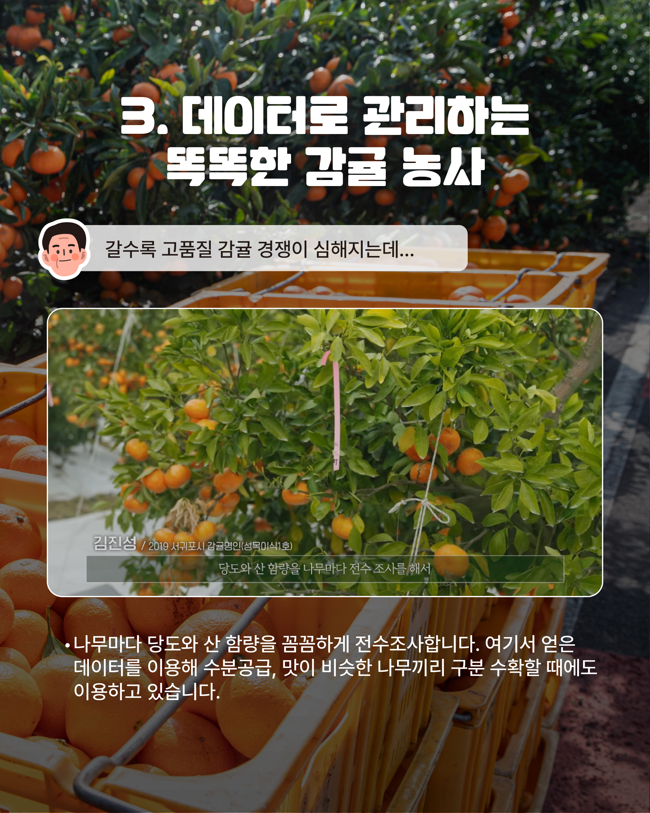 [16년차, 김진성 명인]경매시장 최고가 고품질 이끈 비밀의 기술은?