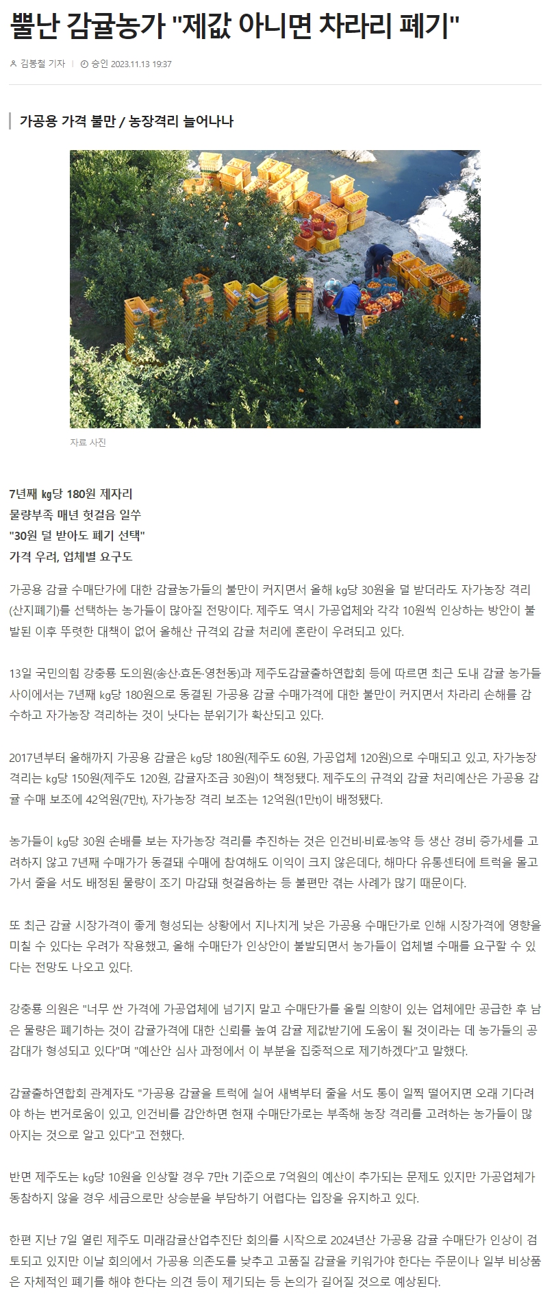 뿔난 감귤농가 "제값 아니면 차라리 폐기"