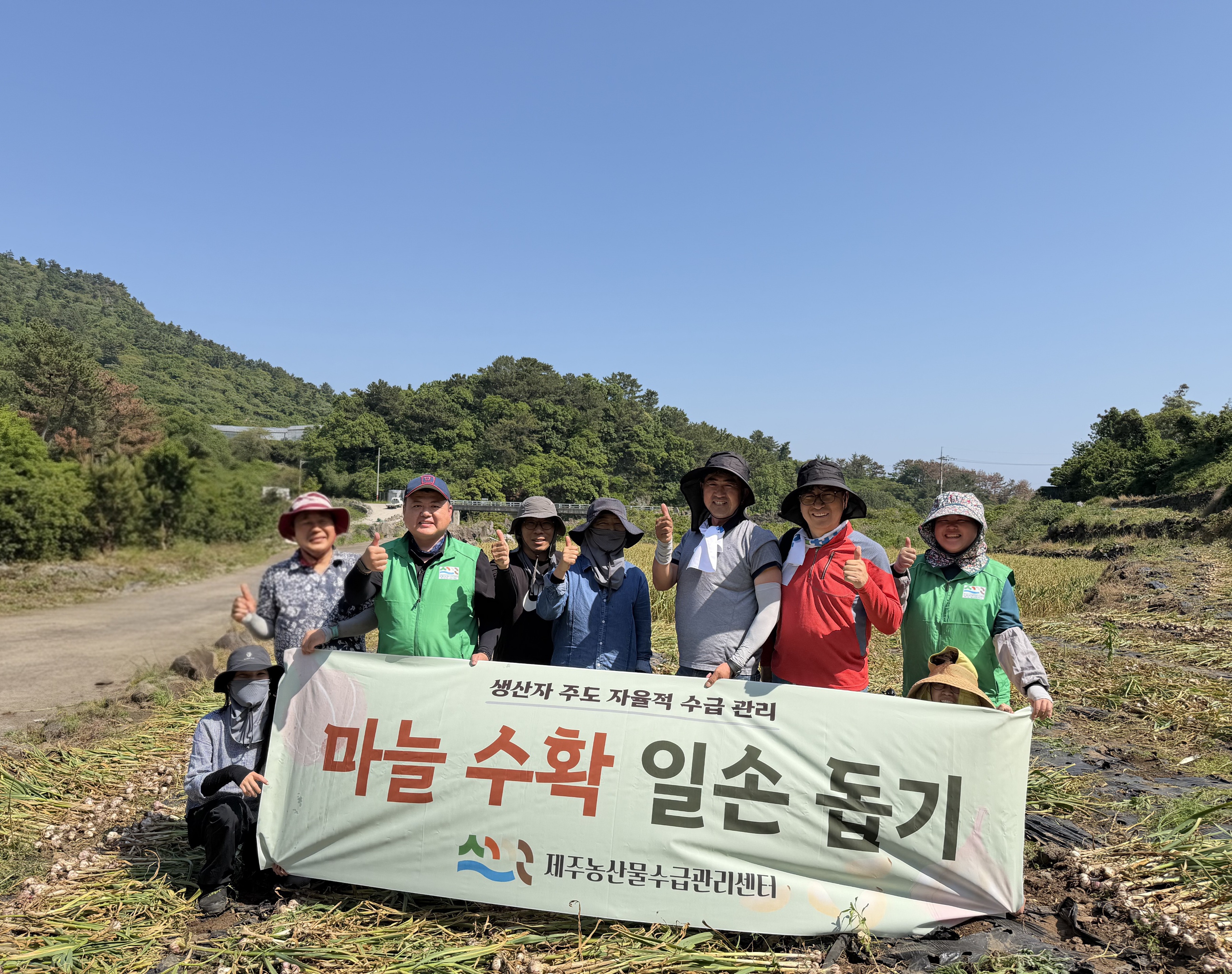 [보도자료] 마늘수확일손돕기 대표사진.jpg