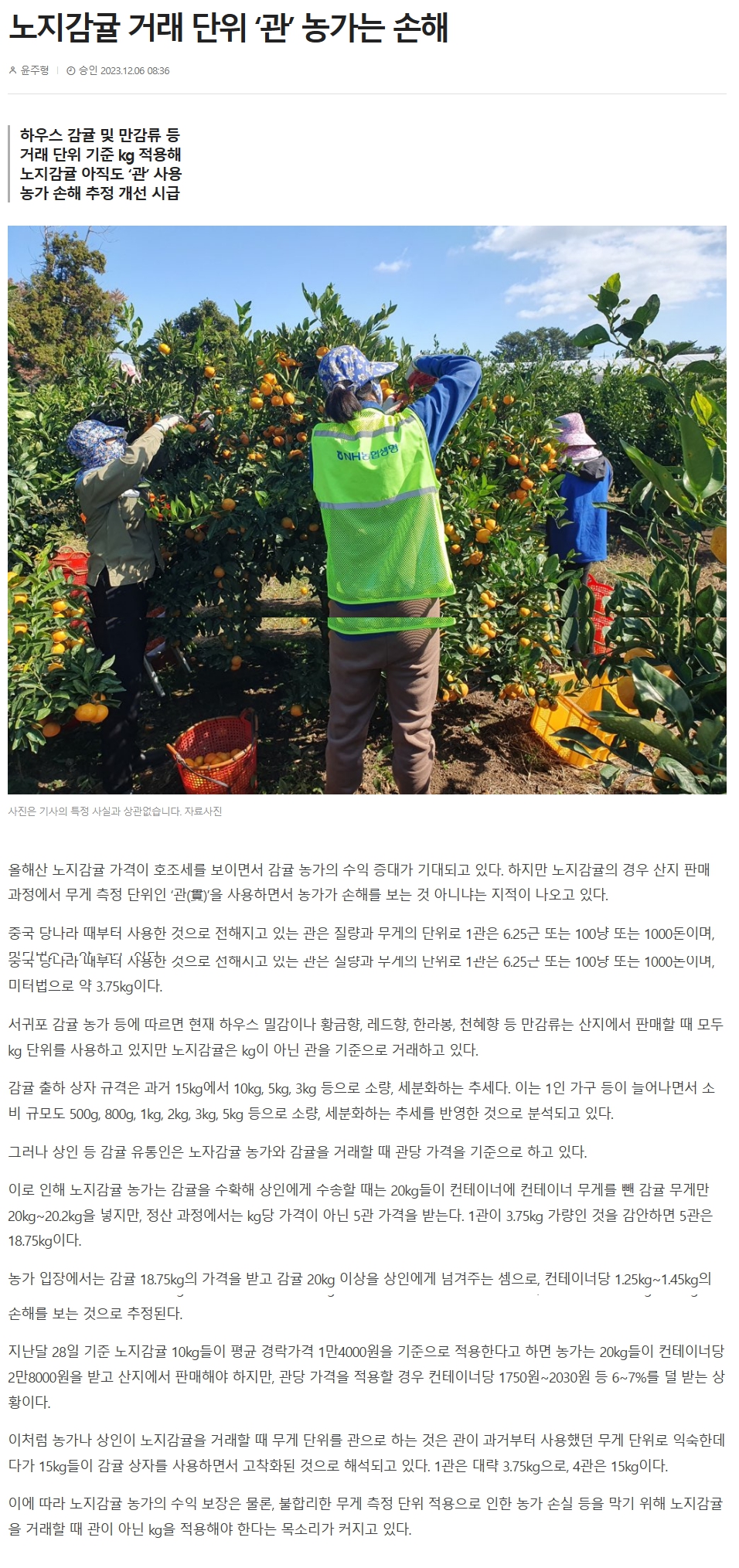 노지감귤 거래 단위 ‘관’ 농가는 손해