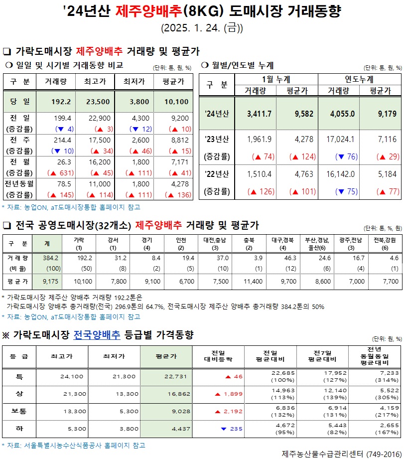 '24년산 제주양배추(8kg) 도매시장 거래동향(1/24)