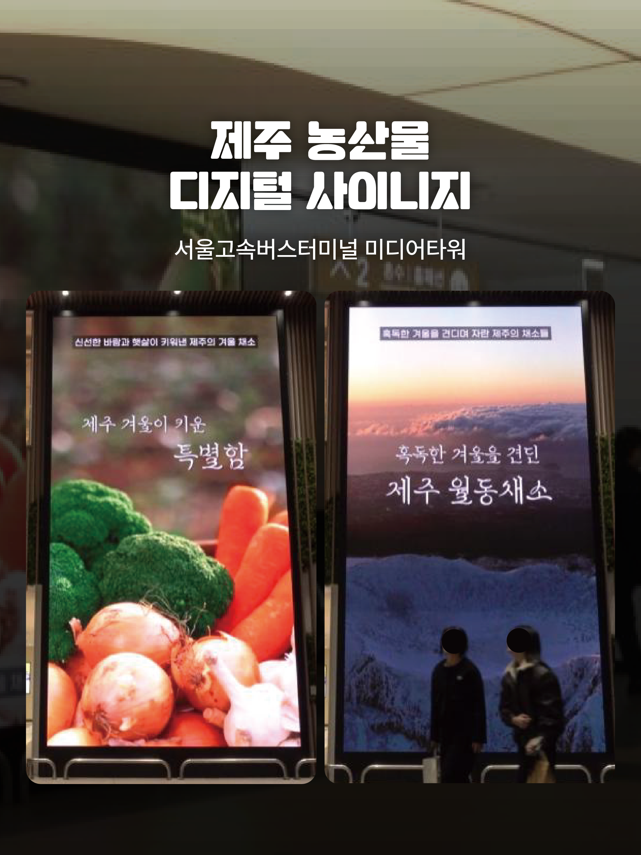 서울고속버스터미널 제주 월동채소 홍보영상 송출