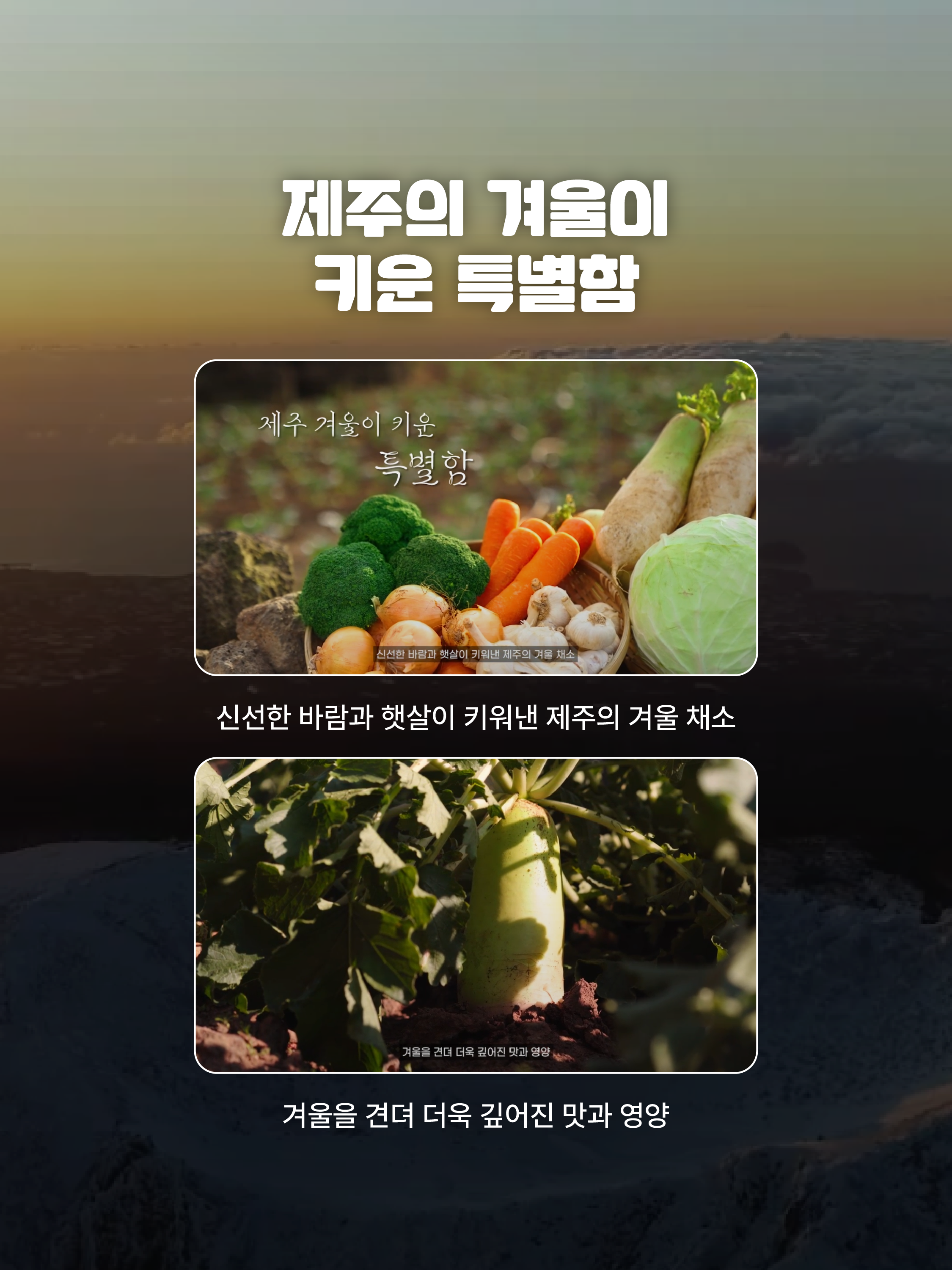 서울고속버스터미널 제주 월동채소 홍보영상 송출