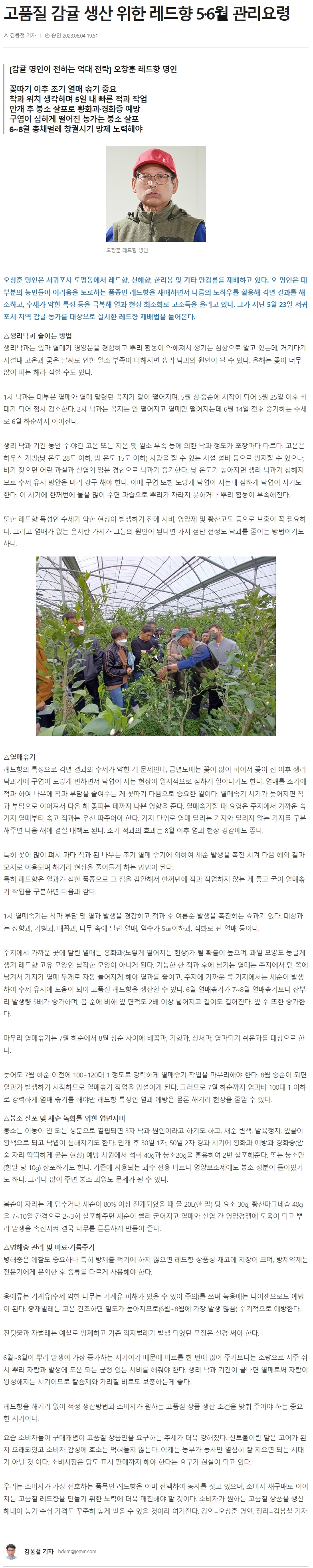 고품질 감귤 생산 위한 레드향 5·6월 관리요령