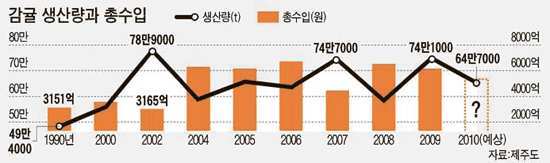 감귤 10년 구조조정 한계 … 가공식품 개발 한창